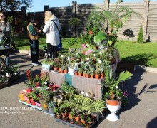 Выставка-продажа растений в Тирасполе: больше участников и саженцев