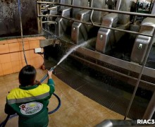 В Волгоградской области открыт крупнейший молочный комплекс на 10 тысяч голов КРС