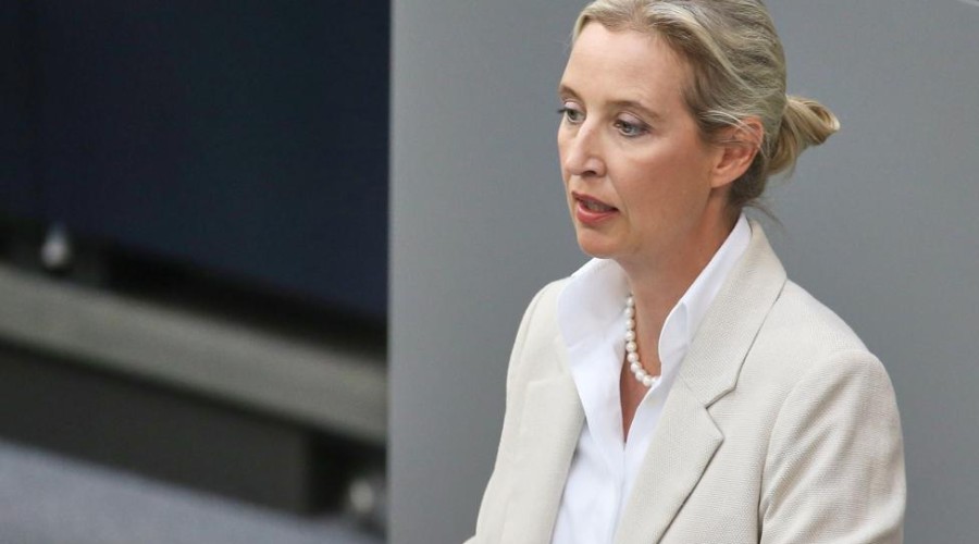 Вайдель: «Пусть Мерц поедет служить в ВСУ» — AfD усиливает антивоенную риторику