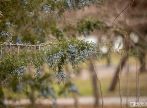 Осеннее похолодание в Приднестровье: заморозки и потепление на следующей неделе