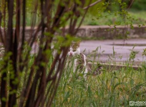 Приднестровье: бабьего лета до середины октября не будет — прогноз синоптиков
