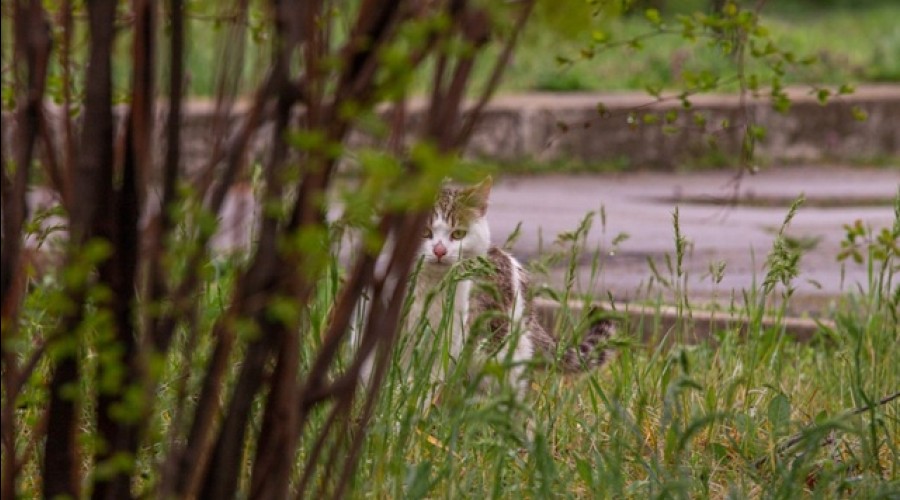 Приднестровье: бабьего лета до середины октября не будет — прогноз синоптиков