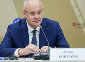 Кобяков: выбор главного мессенджера в России будет зависеть от проверки ФСБ