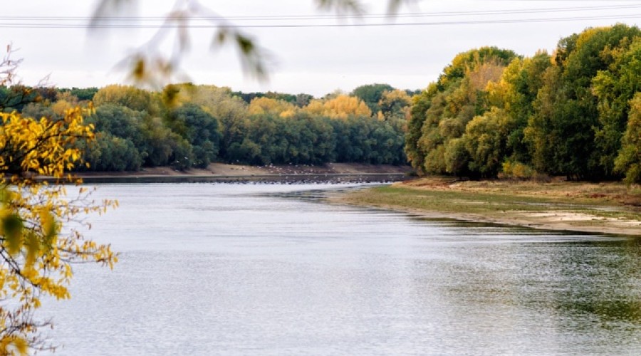 Осень в Приднестровье: прогноз погоды, температуры и дожди на следующую неделю