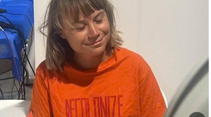 Грету Тунберг держат в клоповнике и морят голодом — The Guardian