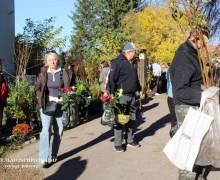 Выставка-продажа растений в Тирасполе: больше участников и саженцев