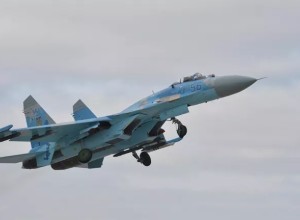 Минобороны РФ: ВКС России сбили украинский Су-27 на запорожском направлении