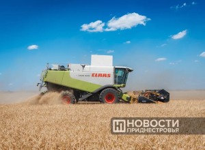 Приднестровье собрало 350 тысяч тонн зерна в 2025 году