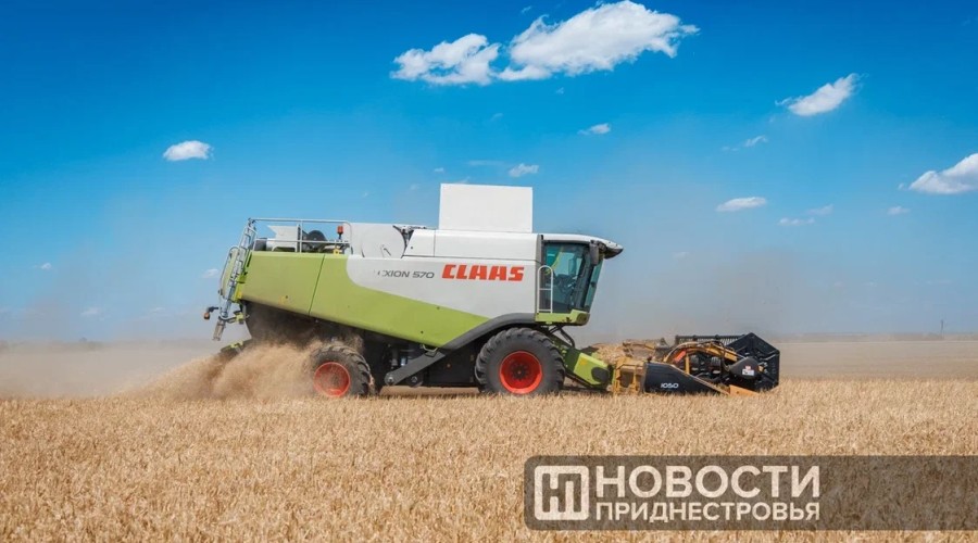 Приднестровье собрало 350 тысяч тонн зерна в 2025 году