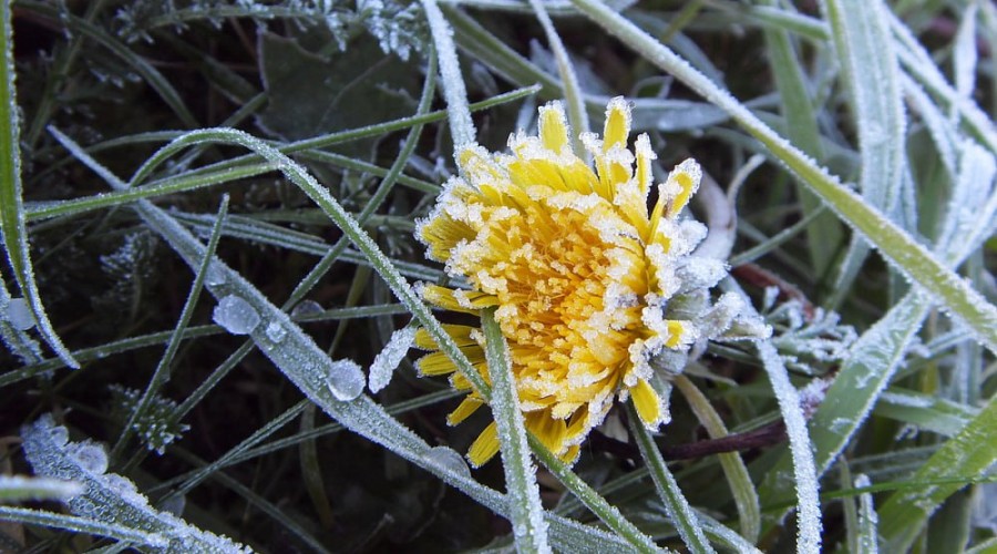 Заморозки до −3 °C: синоптики предупреждают о ночных морозах в республике