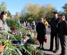 Выставка-продажа растений в Тирасполе: больше участников и саженцев