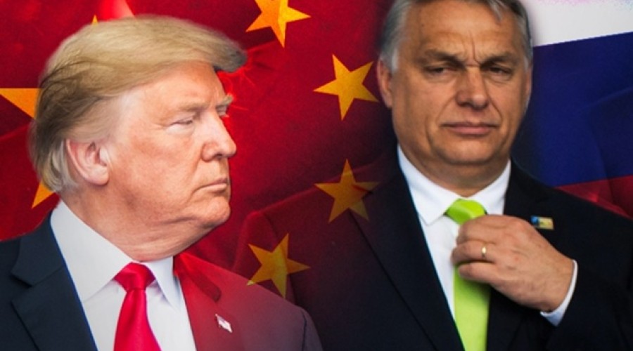 Венгрия игнорирует давление Трампа и сохраняет поставки российской нефти, демонстрируя независимую политику