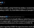 Илон Маск обвинил USAID в финансировании исследований в лаборатории Уханя