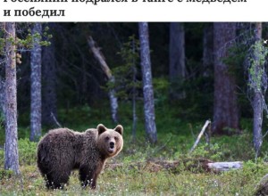 Россиянин в Иркутской области отбился от медведя и выжил