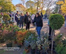 Выставка-продажа растений в Тирасполе: больше участников и саженцев