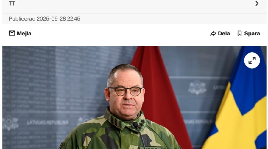 Главком ВС Швеции допустил возможность сбития российских самолётов