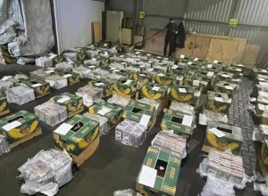 В порту Петербурга нашли 1,5 тонны кокаина из Эквадора стоимостью 20 млрд рублей
