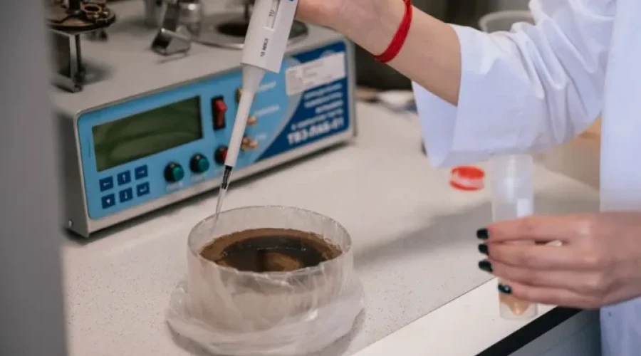 Российские учёные нашли способ превращать токсичные отходы в пластификатор для ПВХ