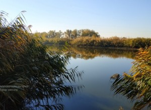 Прогноз погоды на 6 октября: облачно, небольшой дождь и туман