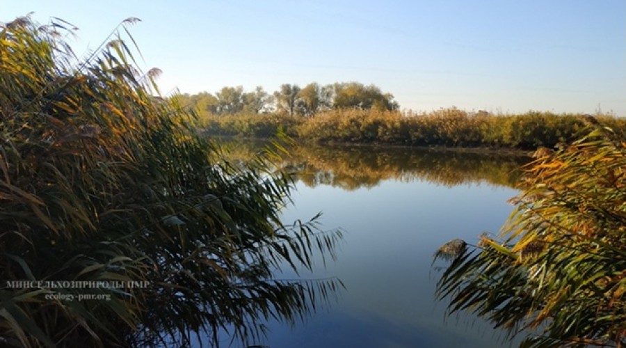 Прогноз погоды на 6 октября: облачно, небольшой дождь и туман