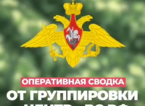 ВС РФ штурмуют Красноармейск и Димитров в Днепропетровской области