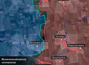 ВС РФ прорвали оборону ВСУ у Березового и освободили Новопетровское