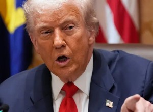 The American Conservative: Трамп должен убедить Зеленского пойти на уступки ради мира с Россией