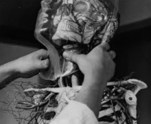 Первая секс-кукла: История создания в нацистской Германии