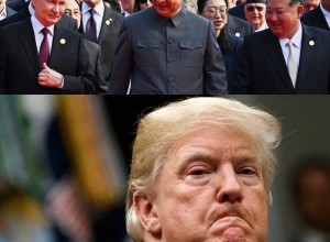Трамп о «заговоре» Китая, России и КНДР против США