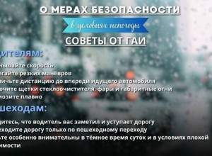 Госавтоинспекция Приднестровья: будьте внимательны на дороге в непогоду