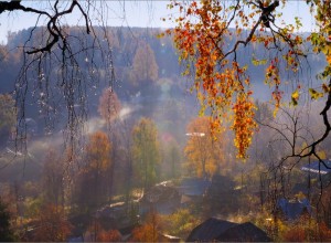 Погода в Приднестровье 9 октября: облака, дожди и понижение давления