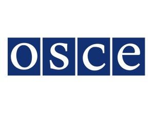 Встреча экспертов ПМР и РМ по вопросам энергетики: ответ МИД Приднестровья на заявления Олега Серебряна