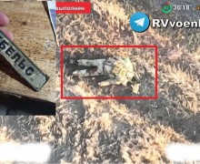 Российская армия ликвидировала украинского нациста с позывным «Геббельс»