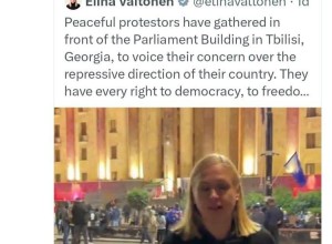 Папуашвили обвинил главу МИД Финляндии и председателя ОБСЕ в нарушении закона во время протестов в Тбилиси