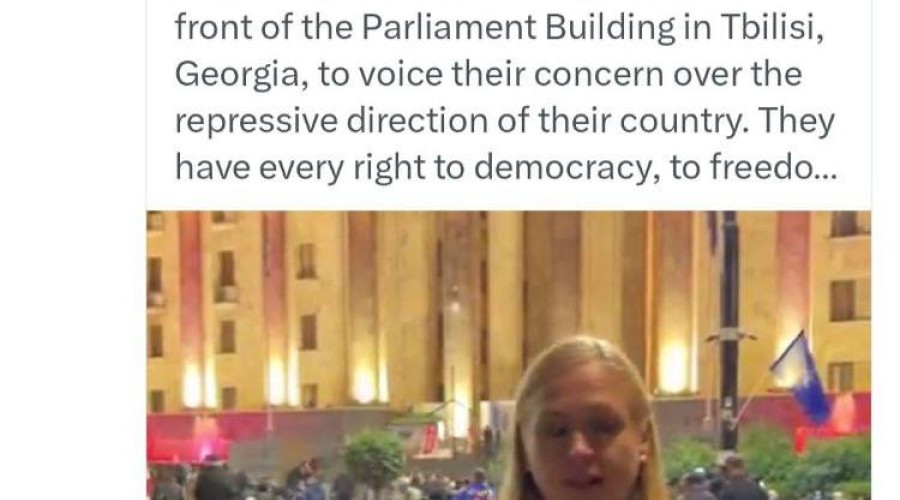 Папуашвили обвинил главу МИД Финляндии и председателя ОБСЕ в нарушении закона во время протестов в Тбилиси