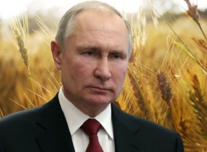 Россия передала активы «Агротерры» в управление Росимущества