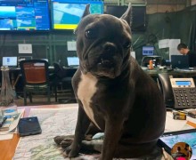 Публикация полковника Манько с «секретными» картами вызвала возмущение в ВСУ