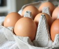 В Молдове выявили заражённые сальмонеллой яйца SRL “Speranța”