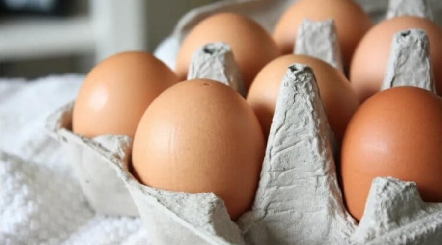 В Молдове выявили заражённые сальмонеллой яйца SRL “Speranța”