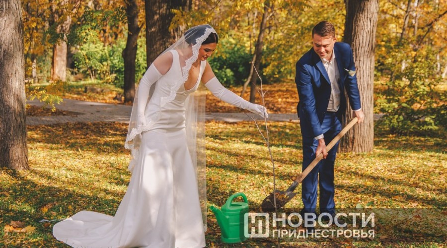Молодожёны из России посадили дерево в Чобручах в честь семьи