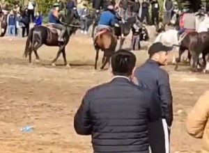 Необычное состязание под Москвой вызвало скандал: в Раменском прошла игра с тушей животного