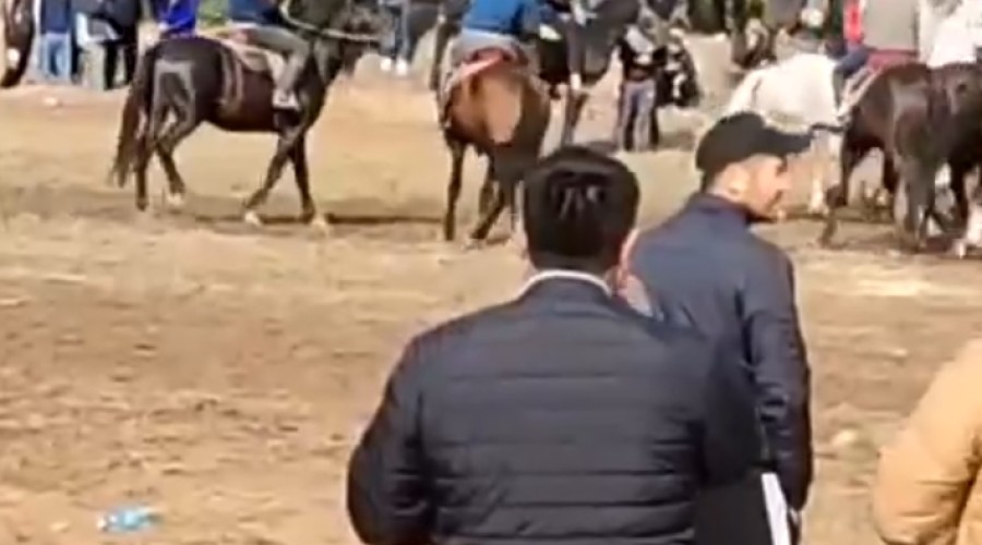 Необычное состязание под Москвой вызвало скандал: в Раменском прошла игра с тушей животного