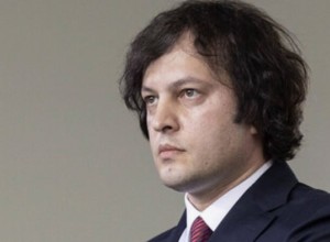 Кобахидзе обвинил посла ЕС в поддержке беспорядков и попытке свержения власти