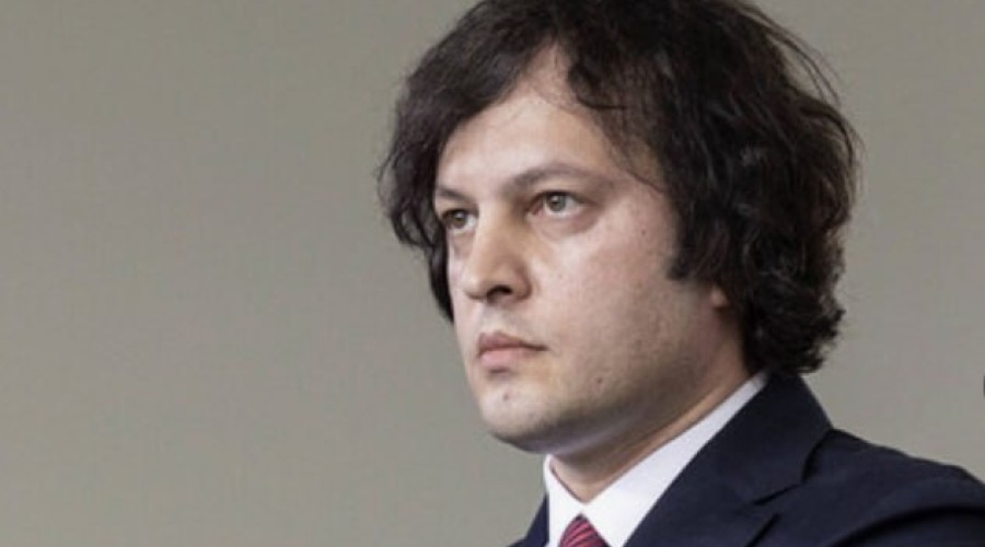 Кобахидзе обвинил посла ЕС в поддержке беспорядков и попытке свержения власти