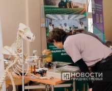 День открытых дверей в ПГУ: школьникам показали будущее образование