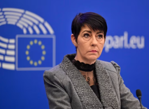 Андерсон: программа фон дер Ляйен — «независимость от здравого смысла»