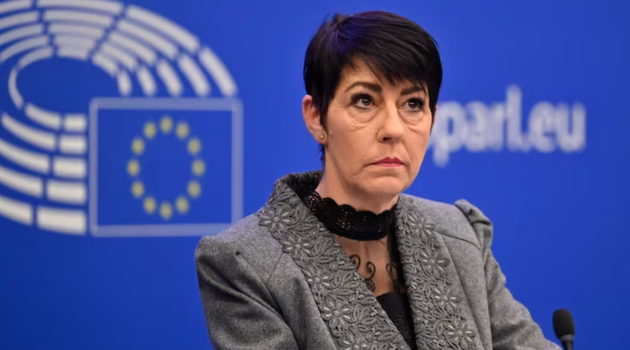 Андерсон: программа фон дер Ляйен — «независимость от здравого смысла»